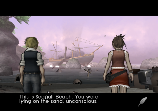 Vanilla and Connie look towards the shipwreck while Connie introduces Seagull Beach.