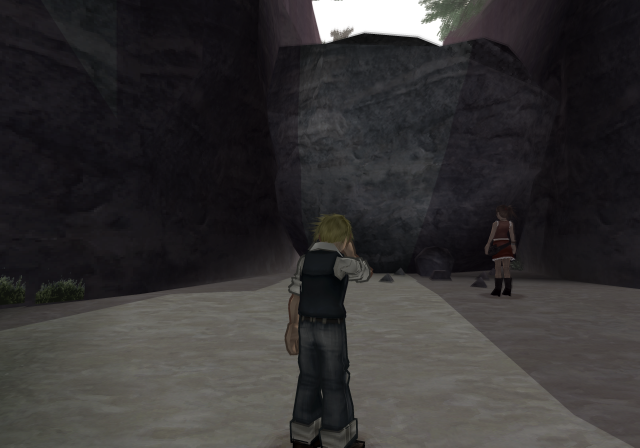 Vanilla and Connie stand near a large boulder blocking the path.